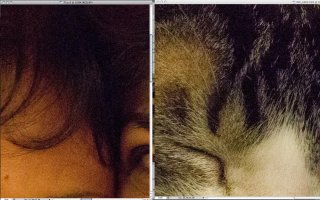 Screen shot 2012-03-19 at 9.21.15 PM (2).jpg