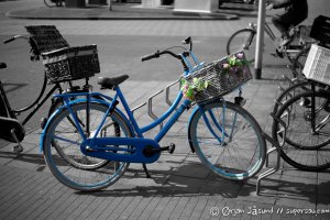 IMG_0538.jpg
