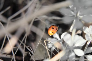 IMG_3177 6x4.jpg