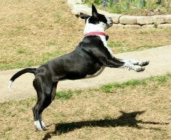 IMG_1483 (640x525).jpg