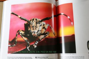 Bosman Photography_BP120352.jpg