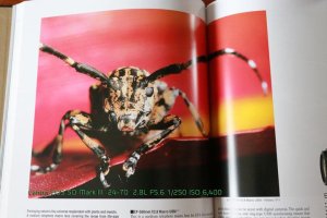 Bosman Photography_BP120358.jpg