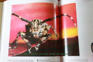 Bosman Photography_BP120362.jpg