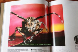 Bosman Photography_ Noise Reduction off_BP120364.jpg