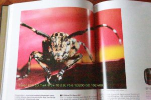 Bosman Photography_ Noise Reduction off_BP120366.jpg