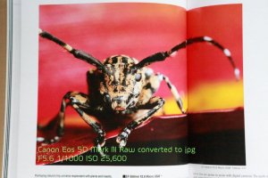 Bosman Photography_Raw to Jpg only_BP120759.jpg