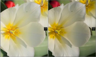 Screen Shot 2012-03-25 at 8.43.19 PM.jpg