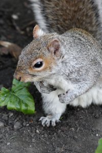 IMG_3236small.jpg