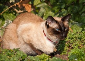 IMG_1171x.jpg