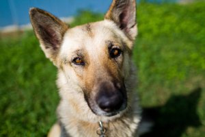 24mm 1.4L II @ 1.4.jpg