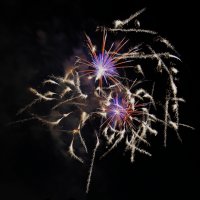 IMG_5353 (1024x1024).jpg