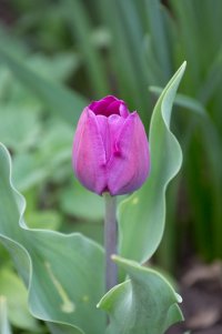 4N7C0651.jpg