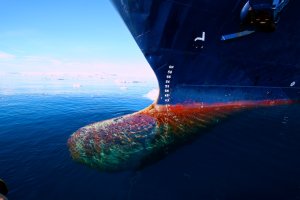 2008_South America Best 45.jpg