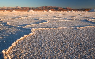 2008_Kite Buggy 76.jpg