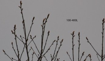 100-400L.jpg