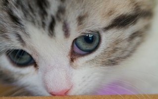 IMG_0410.jpg