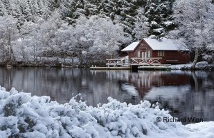 The Illicit Still.jpg