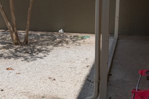 D34C7769_Lightroom 4.jpg