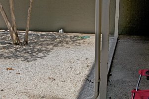 D34C7769_Aperture 3.jpg