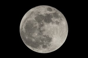 IMG_4594-dpp-c.JPG