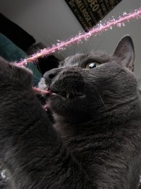 slinky.jpg