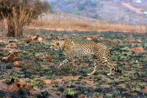 IMG_5737.JPG