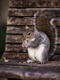 IMG_4878.jpg