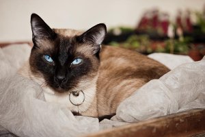 IMG_1228x.jpg