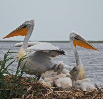 IMG_6744 - Version 3 (1).jpg