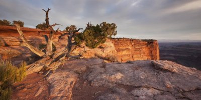 Dead Horse Point.jpg