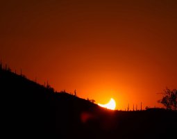 sunset 2b.jpg