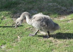 IMG_0114.jpg