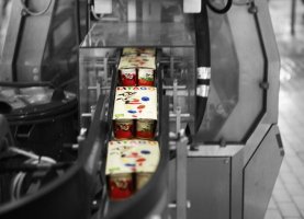 Dairy shot - Copy.jpg