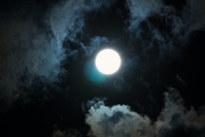 no venus in sight.png