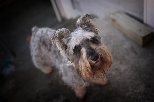 ibm48TuTW7Bffi copy.jpg