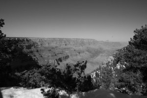 IMG_2526.JPG