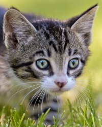 7331626932_a74e2b634a_c[1].jpg