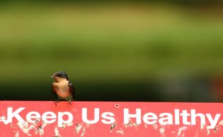 IMG_6192 (800x492).jpg