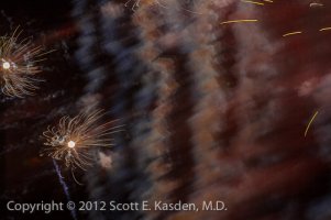 12_07_04_untitled shoot_06-116.jpg