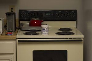 1d4 ISO 1250_1AUG12.JPG