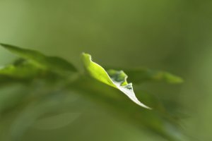 processed in 7d v2.JPG