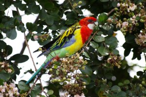 IMG_3095 - Copy.TIF.jpg