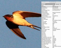 Screen Shot 2012-08-25 at 12.06.18 PM.jpg