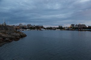 Victoria harbour-0196.jpg