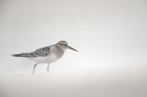 12081559 - Version 2.jpg