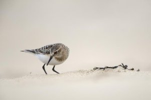 12081567 - Version 2.jpg