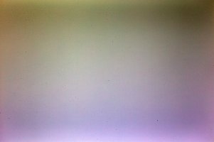 1DX From Factory.jpg