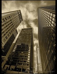 _77C8332 sepia small.jpg