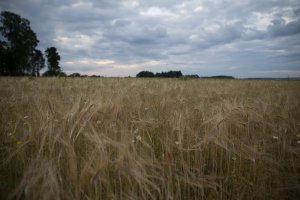 Example II of the 24-70 II at ISO 100 24mm F2.8 1-200 sec (1 of 1).jpg