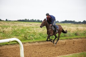 Exercising ECG Gallop.jpg